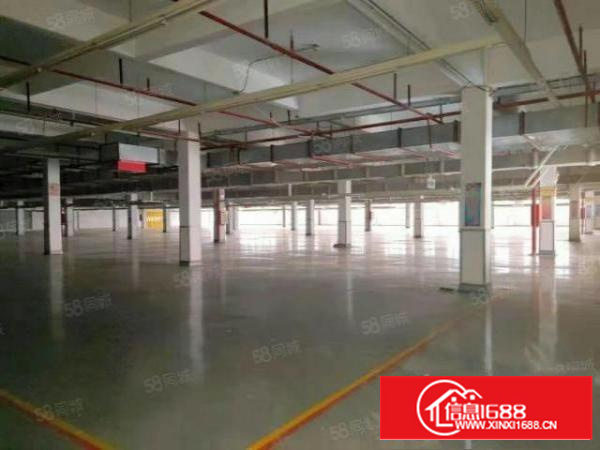 主干路边原房东独门独院标准三层厂房工业用地喷淋消防