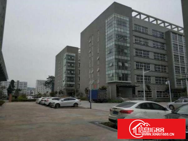 宝龙比亚迪1楼5000平方可分租，精装修形象好