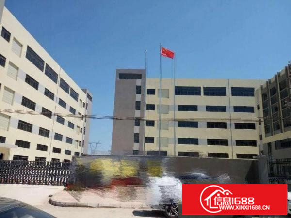 坪山大工业区独门独院39000平米业主出租