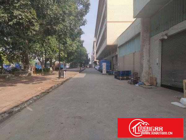 出租高埗镇草墩村简易厂房