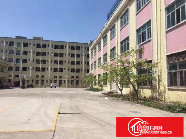 观澜梅观高速出口独门独院厂房1一3层7000平米