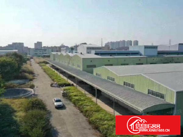 常平镇带红本土地证单一层独院20280平方出租，高度10米