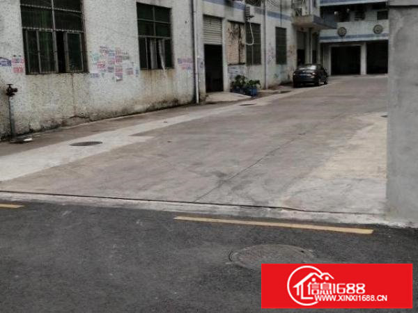 标准厂房一楼，600平米