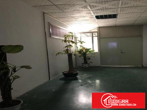 观澜福前路边厂房出租整层900平带装修