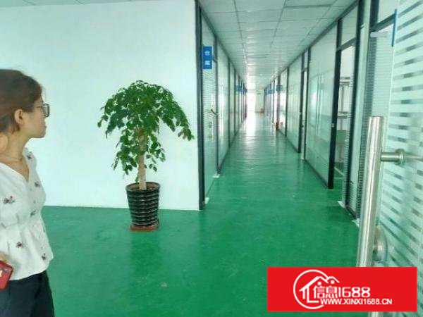 虎门树田工业区楼上1100平，豪华精装修！