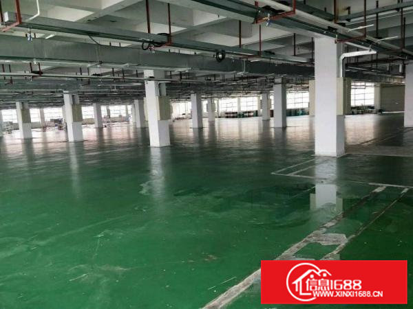 虎门南栅新出原房东独门独院6000平方厂房，可分租