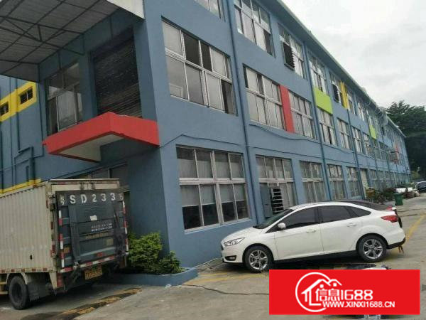 横沥镇隔坑村新出1000厂房分租