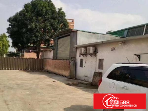 狮山小塘镇独门独院1000平方，整租13元