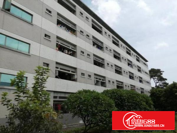 石碣原房东宿舍改厂房（改造中）出租：