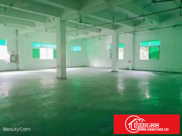 松岗塘下涌新出带地坪漆一楼厂房600平实际面积出租