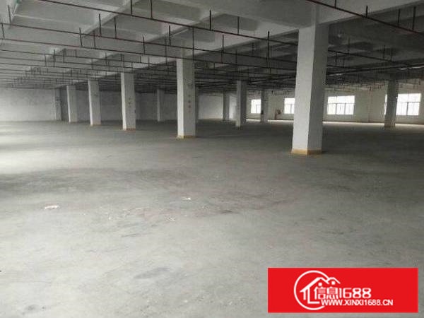 常平白石岗工业区新出一楼1000平厂房出租