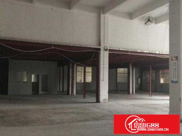 龙岗小独院3000平单一层厂房出租600平起可分租