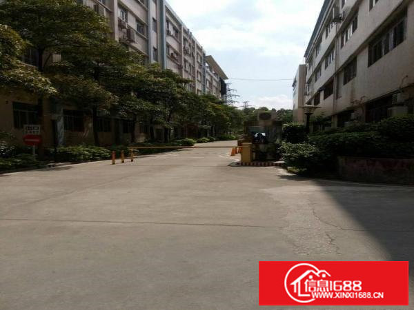 观澜大和新出原房东1450平厂房出租