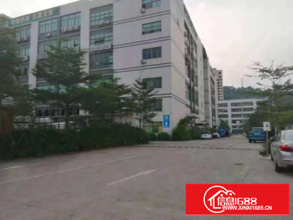 清溪镇300平方至20000平方从业地产行业多年不收介绍费