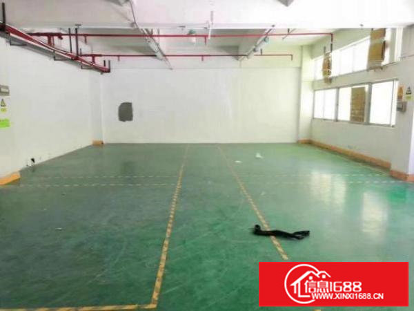 龙华大浪低价厂房24元特价出租