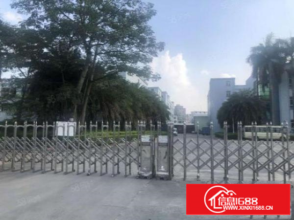 茶山新出独院3层15000平米独院价格优惠可办环评