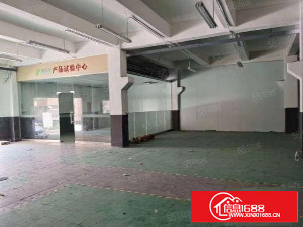 塘厦大坪高速口一楼680平带牛腿公摊小水电齐全地坪漆