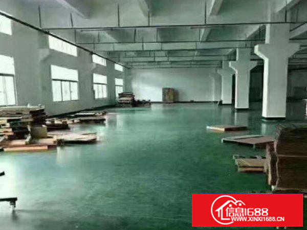 龙岗区平湖新木村标准一楼1600平方招租