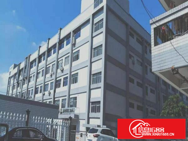 横岗银海厂房仓库出租5万平方精装修100平方分租一楼招租转租