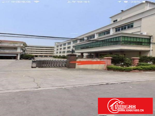 茶山镇东部快速干线独院厂房出租