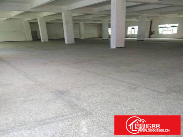 平湖全新厂房二楼1200平米出租可分租急急