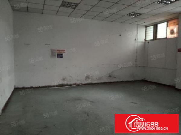 虎门小捷窖新出厂房820平，大小可分，厂区空地大，环境好