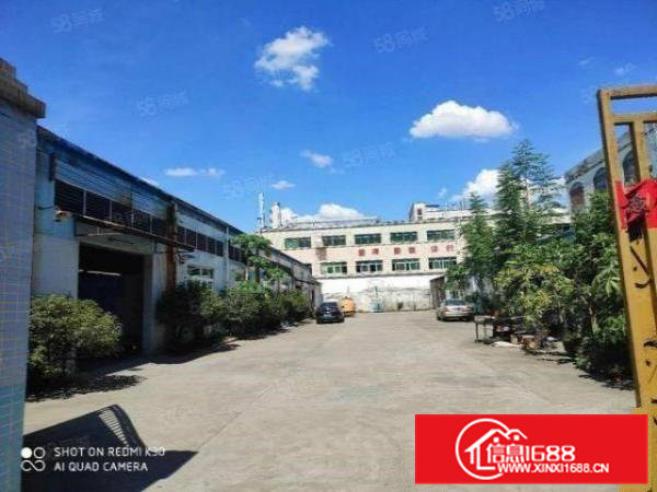 石排新出滴水8米独院钢构厂房2600平米水电齐全欢迎来电