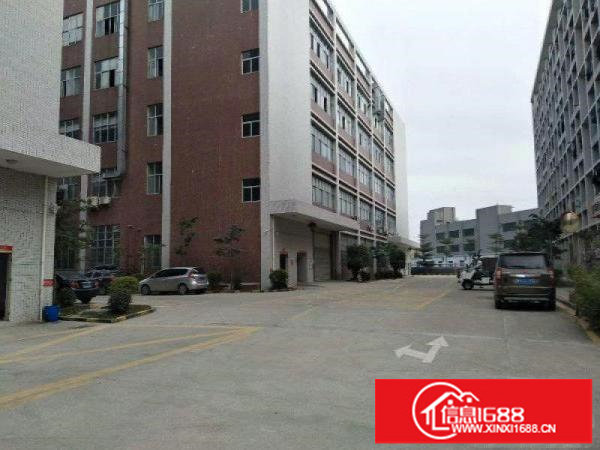 松岗宝安大道新出一楼带牛角1800平厂房实惠出租