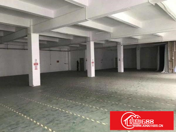 布吉上下水径甘坑仓库250平300平500平800平大小出租