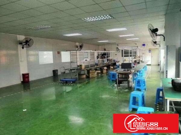 坂田二楼800平带装修厂房出租，有红本，可分租，有吊顶！