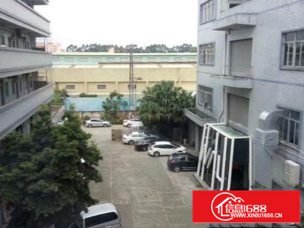 万江简沙洲标准厂房楼上三楼2000平方带消防喷淋出租