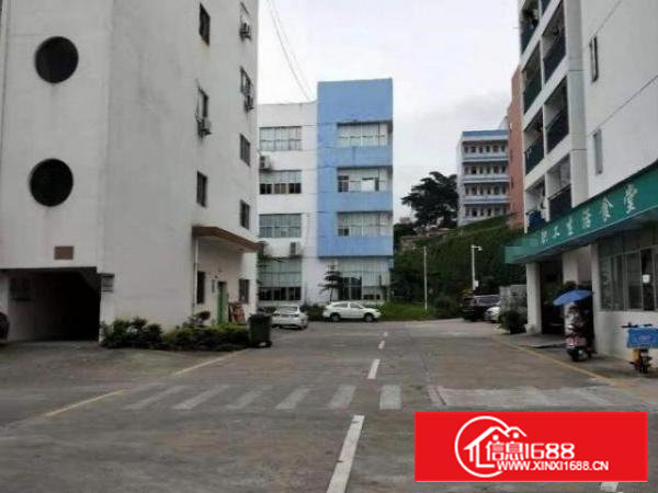 石岩宝源招租实际面积厂房480平方，无公摊