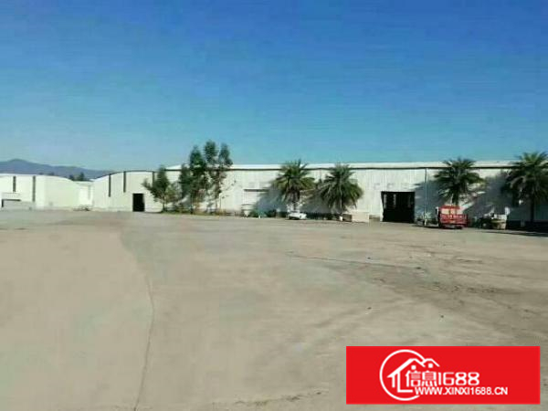 全新单一层钢构16000平厂房招租，滴水十米，空地超大