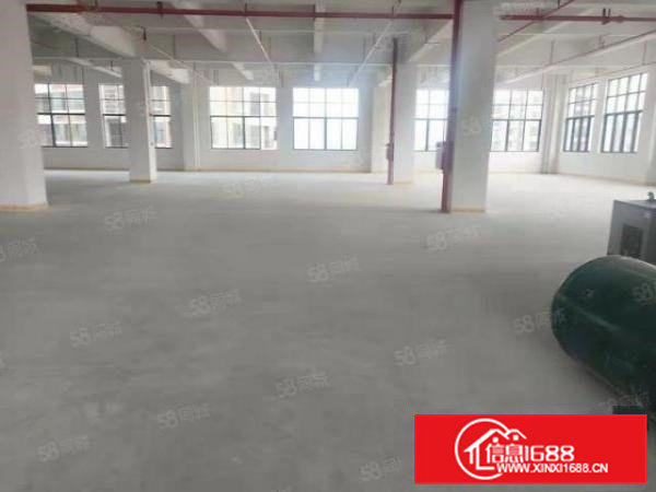 大岭山独栋3500平方厂房出租，价格低带牛角消防喷淋可分租