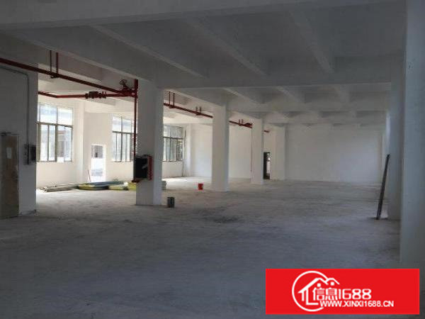 松岗燕罗路附近高新红本科技园精装厂房特价出租