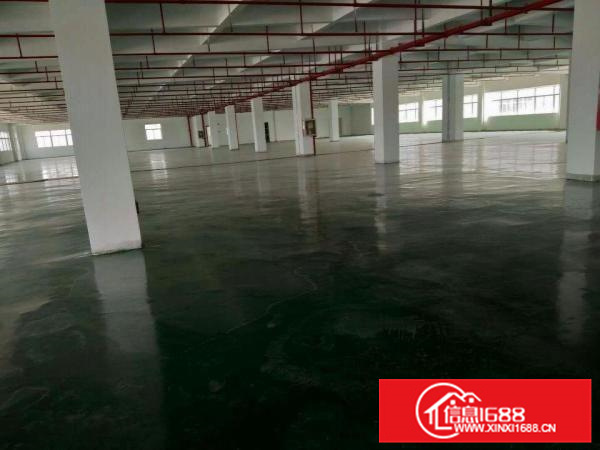 仲恺沥林原房东独门独院5层16000平米出租