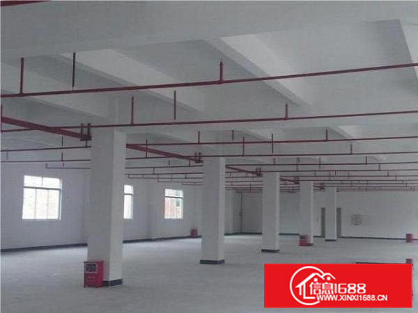 茶山镇新出二层独院厂房总面积2900平方出租