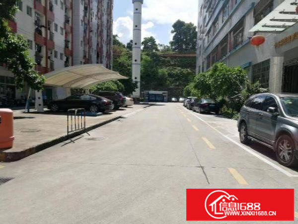 布吉李朗楼上带装修和无尘车间1343平出租