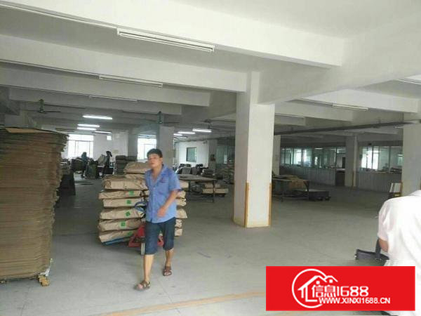 高埗唯一带红本独门独院标准厂房28000平，可分租