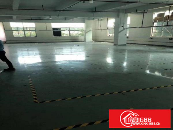 凤岗金凤凰3平方厂房出租，200平方分租