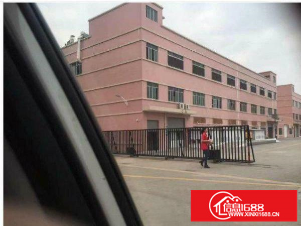 横岗189工业园新出二楼标准厂房1800平方可分租