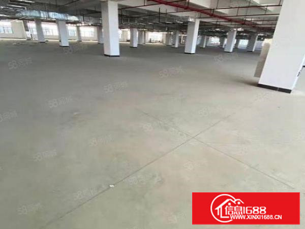 塘厦原房东直租标准5楼6800平方！无公摊！消防合格!可分租