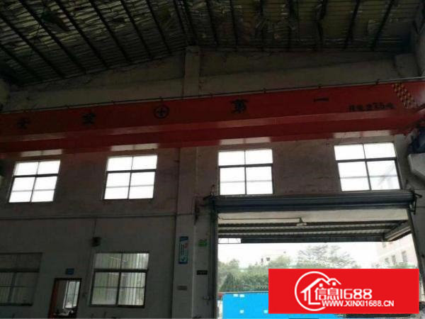 清溪镇新出滴水高度8米高钢构厂房出租