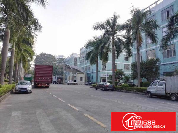 坪山碧岭工业区5楼500平米实际面积出租，带精装修