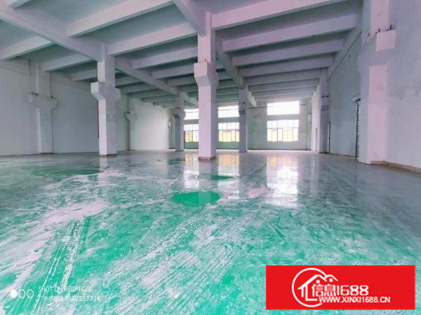 金凤凰一楼带牛角1100平方全新地坪漆适合所有行业