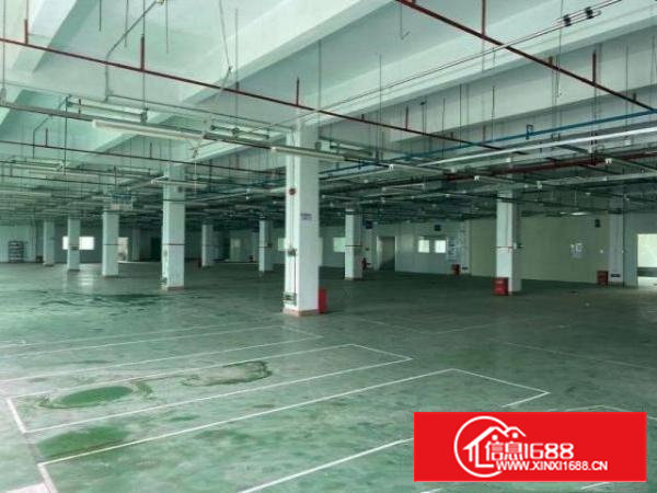 原房东1650平一楼厂房出租