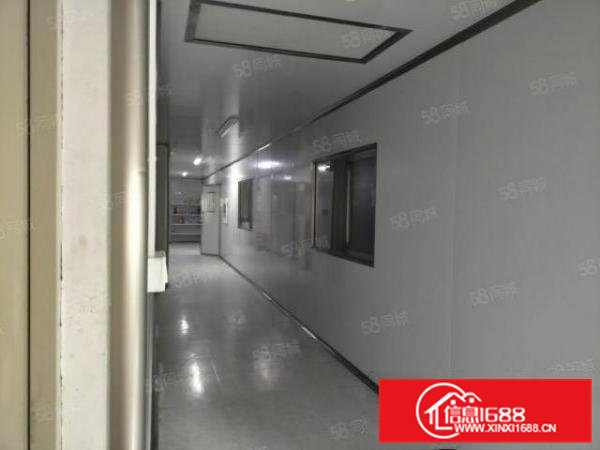 松山湖原房东标准厂房分租