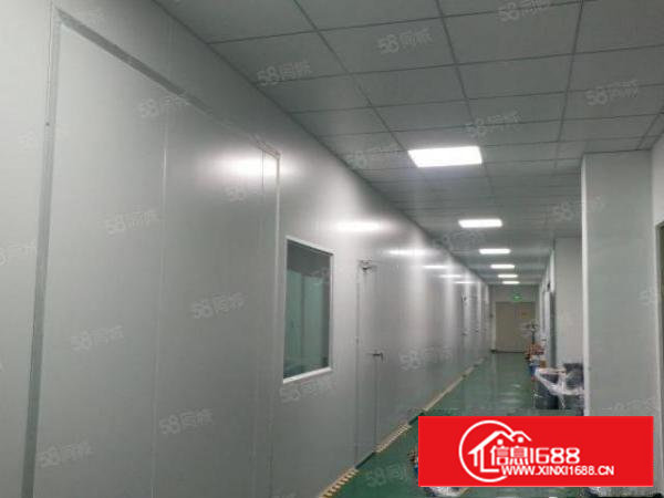 精装修厂房仓库1160平方有无尘车间23元每平方原房东免费使