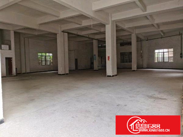 全新标准厂房（一楼1000方）
