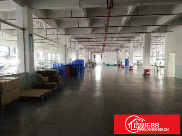 平湖楼上整层1800平方带精装修可分租